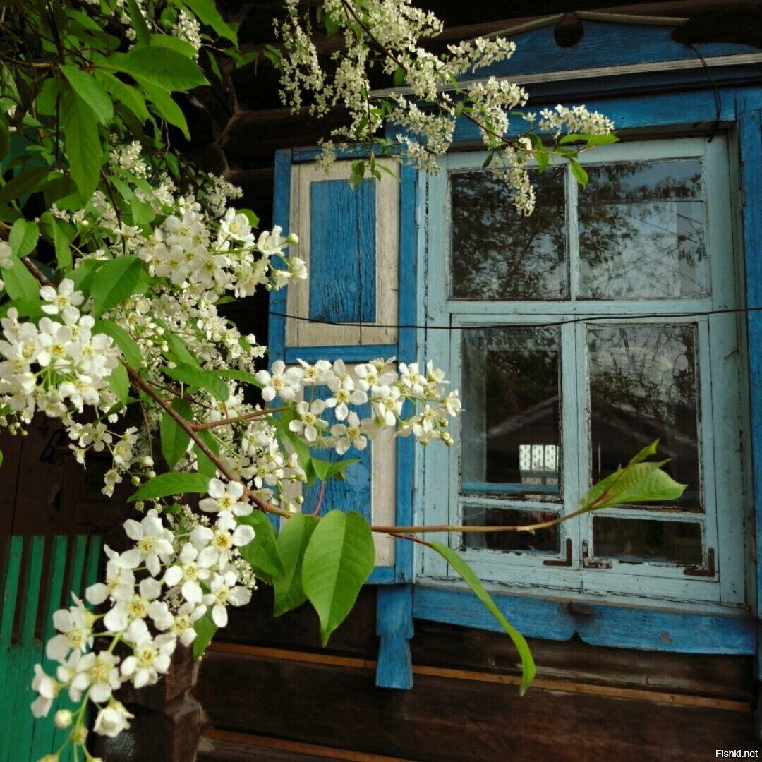 домик окнами в сад картинки