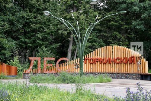 В Горкинско-Ометьевском лесу заработал пункт проката летнего оборудования
