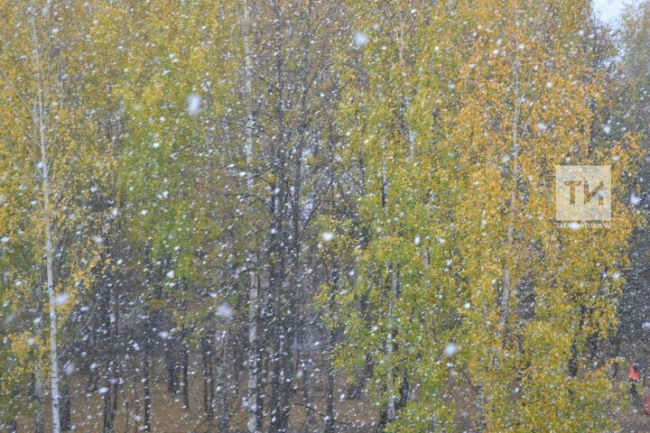 В Татарстане ожидается первый снег
