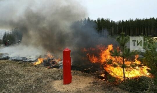 Не дойдут ли до Татарстана лесные пожары?