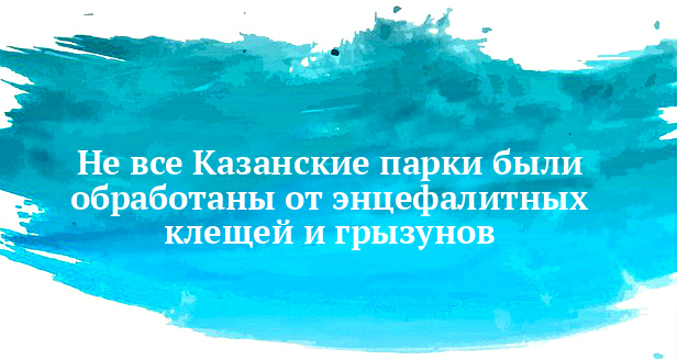 Не все Казанские парки были обработаны от энцефалитных клещей и грызунов