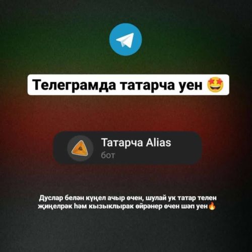 Төркиядә укучы татар егете “Татарча Alias” уенын уйлап тапкан