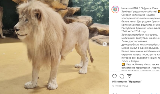 Новые жители прибыли в казанский зоопарк