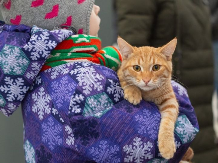 Весна на Кремлевской улице