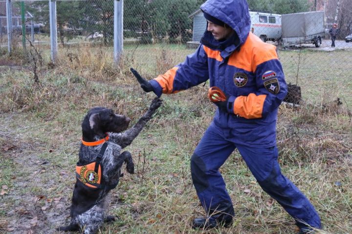 Наша Гретта  - лучшая собака России