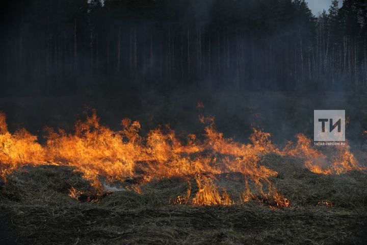 Лесной пожар «стоит» денег