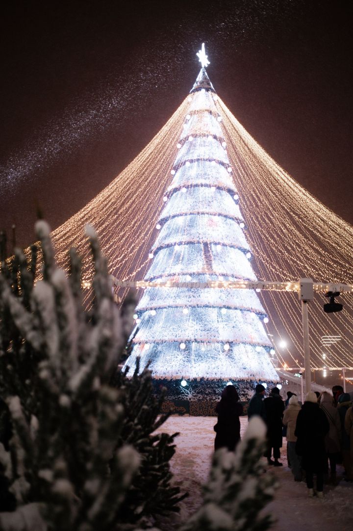 В Казани открылась центральная елка у центра семьи «Казан»