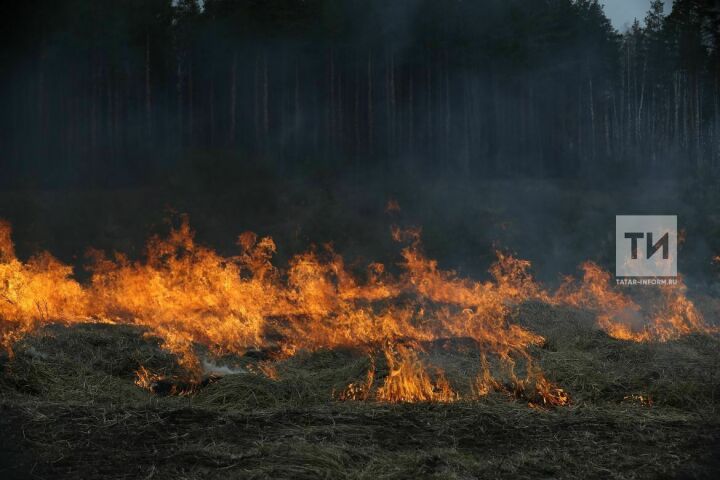 Лесные пожары Татарстана возникают по вине человека