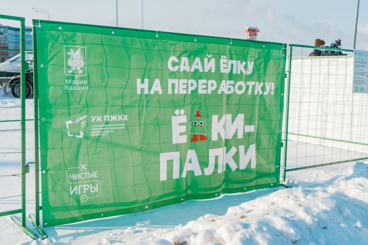 «Елки-палки»: В Казани проходит акция по сбору и переработке хвойных деревьев