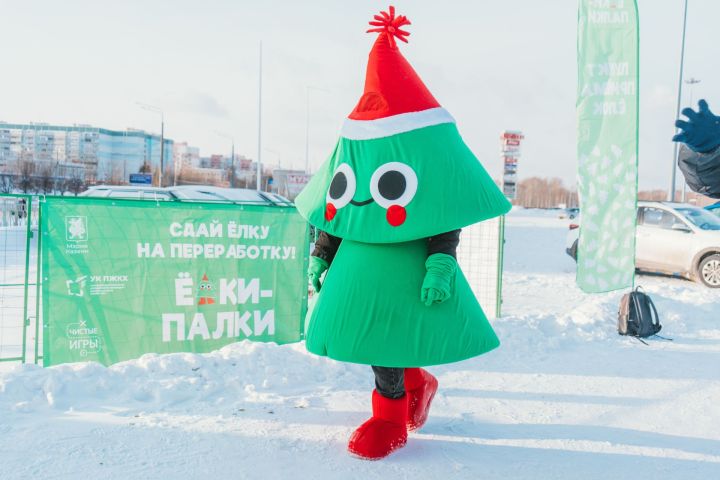 «Елки-палки»: В Казани проходит акция по сбору и переработке хвойных деревьев